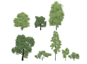 2D景观乔木组合SU模型 SU模型下载
