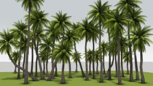 热带椰子树林景观SU模型 SU模型下载